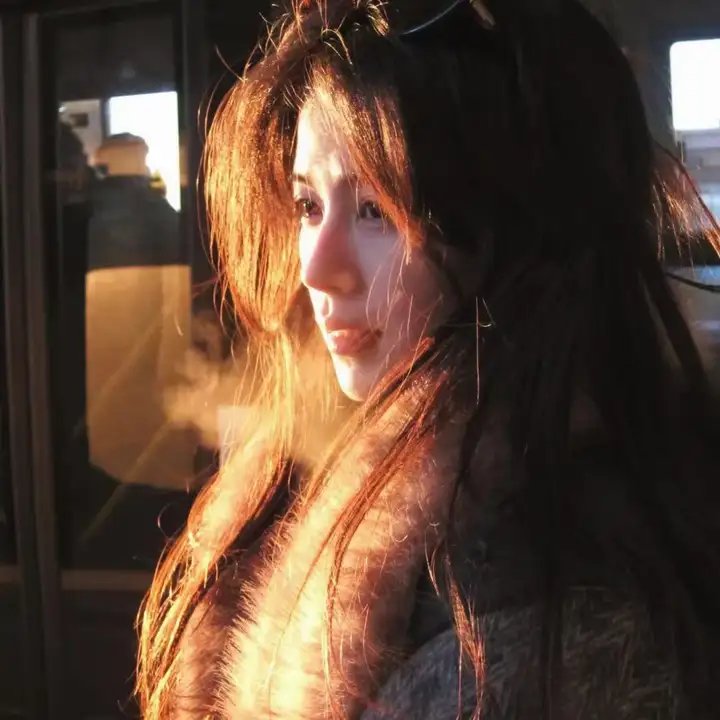 逆女泰瑞丝